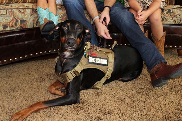 blog - operation-homefront-rent-free-apartments-grand-opening-wounded-veteran-housing-san-antonio-IMG_dog2