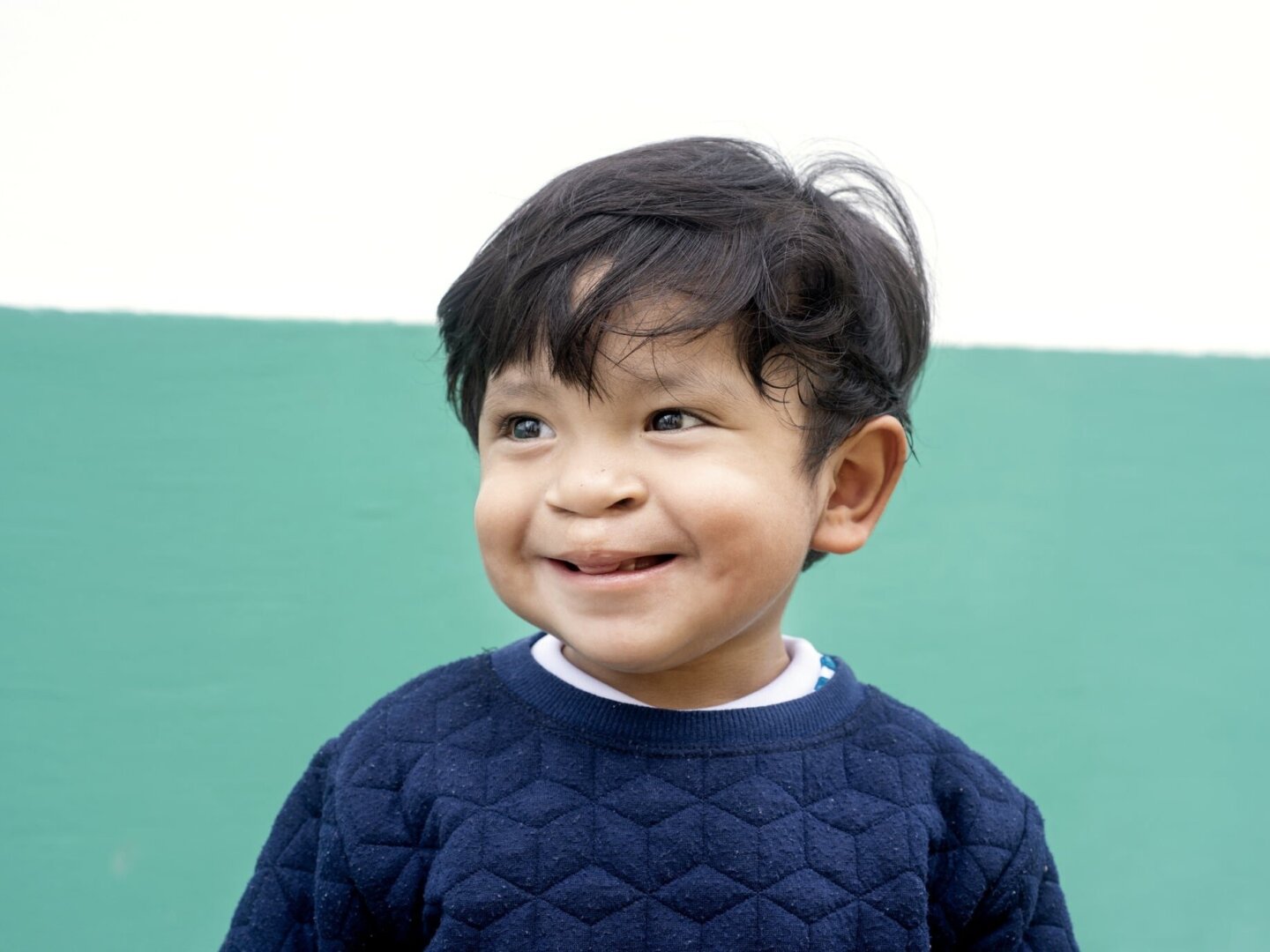 Leao, after surgery.